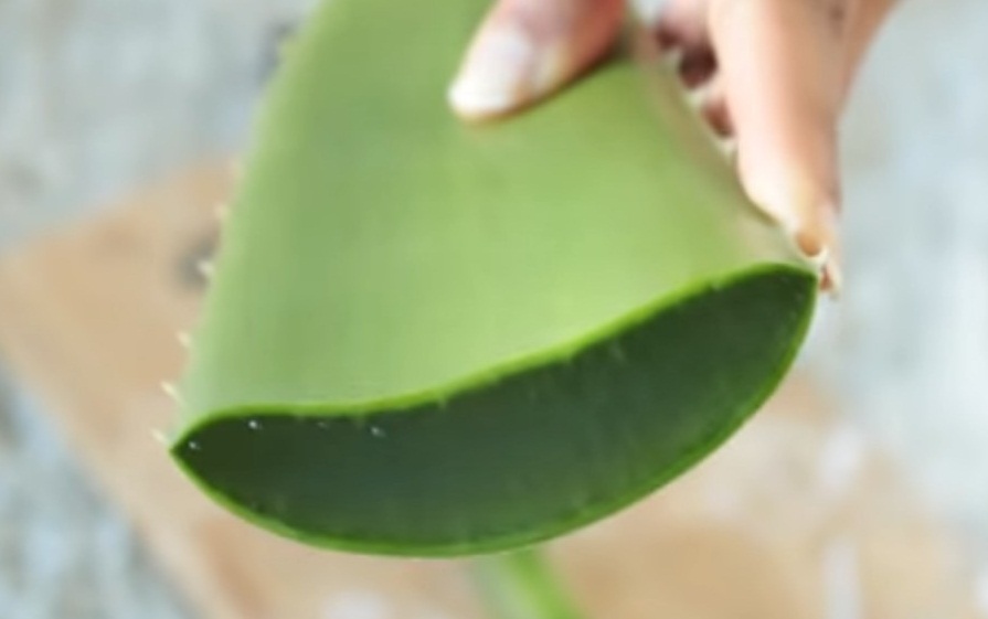 Aloe Veranın Yüz Maskesini Uyguladınız Mı?